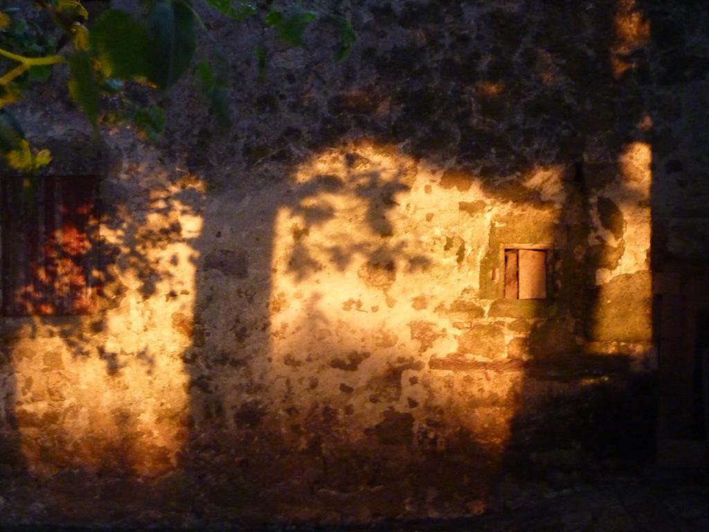 Au Bonheur D'Alphonse Bed & Breakfast Lusignan-Petit Luaran gambar